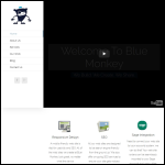Screen shot of the Blue Monkey Web Ltd website.