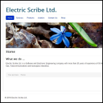 Screen shot of the Electric Scribe Ltd website.