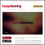 Screen shot of the Busy Cleaning website.
