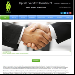 Screen shot of the Jagexss Executive Recruitment website.