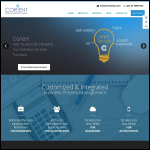 Screen shot of the Corient Business Solutions website.