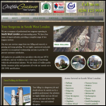 Screen shot of the South West London Tree Surgeons website.