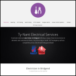 Screen shot of the Ty-Nant Electrical Services website.