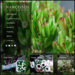 Screen shot of the Narcissus Flowers website.