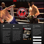Screen shot of the Tiger Freestyle Martial Arts website.