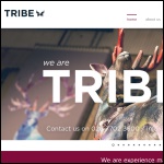 Screen shot of the Tribe Marketing Ltd website.