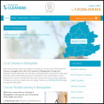 Screen shot of the Basingstoke Cleaners website.