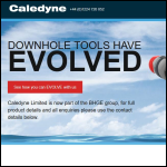 Screen shot of the Caledyne Ltd website.