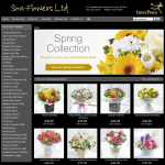 Screen shot of the Son-flowers Ltd website.