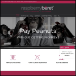 Screen shot of the Raspberry Beret Ltd website.