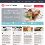 Screen shot of the Carpets Please website.