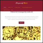 Screen shot of the Burgundy Ltd website.
