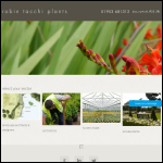 Screen shot of the Robin Tacchi Plants Ltd website.