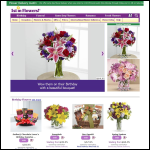 Screen shot of the 1st for Flowers Ltd website.