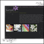 Screen shot of the David Salter Ltd website.
