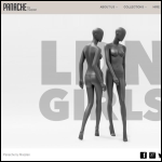 Screen shot of the Panache Display Ltd website.