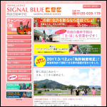 Screen shot of the Blue Signal Ltd website.