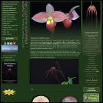 Screen shot of the The Flower Essence Repertoire Ltd website.