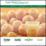 Screen shot of the Trade Winds Jamaica Ltd website.