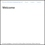 Screen shot of the Borsuk Software Engineering Ltd website.