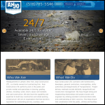 Screen shot of the Anjo Projects Ltd website.