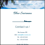 Screen shot of the Blue Savanna Ltd website.