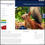 Screen shot of the Mr. Penny Money Ltd website.