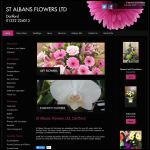 Screen shot of the 35 St. Aubyns Ltd website.