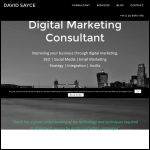 Screen shot of the David Sayce - Digital Marketing Consultant website.