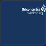 Screen shot of the Briconomics Ltd website.