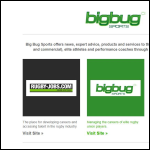 Screen shot of the Big Bug Sports Ltd website.