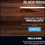 Screen shot of the Black Ridge Technologies Ltd website.