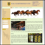Screen shot of the H.M. Scarterfield Ltd website.