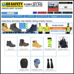 Screen shot of the DS Safety website.