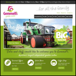 Screen shot of the Gemwells Ltd website.