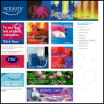 Screen shot of the Sensory Developments website.