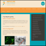 Screen shot of the International Iga Nephropathy Network website.