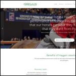 Screen shot of the Augain (UK) Ltd website.