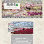 Screen shot of the Doubleh Ltd website.