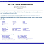 Screen shot of the Black Cat Energy Services Ltd website.