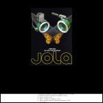 Screen shot of the Valvulas Jola website.