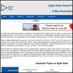 Screen shot of the Agile Vision Ltd website.