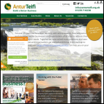Screen shot of the Teifi Management Ltd website.