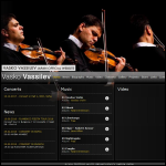 Screen shot of the Vassilev Ltd website.