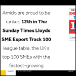 Screen shot of the Amido Ltd website.