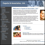 Screen shot of the Caput Ltd website.
