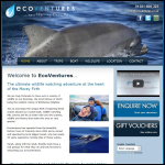Screen shot of the Ecosse Ventures Ltd website.