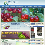 Screen shot of the D - Fresh Company Ltd website.