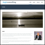 Screen shot of the Aegir Consulting Ltd website.