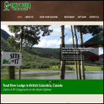 Screen shot of the Toad Activities Ltd website.